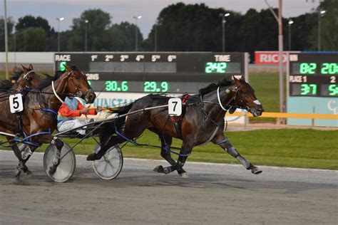 cambridge trots results|Racing .